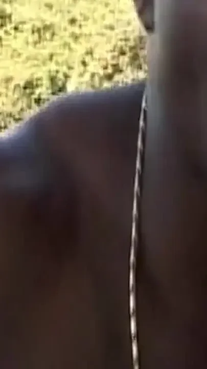 Gangbang with Young Slut