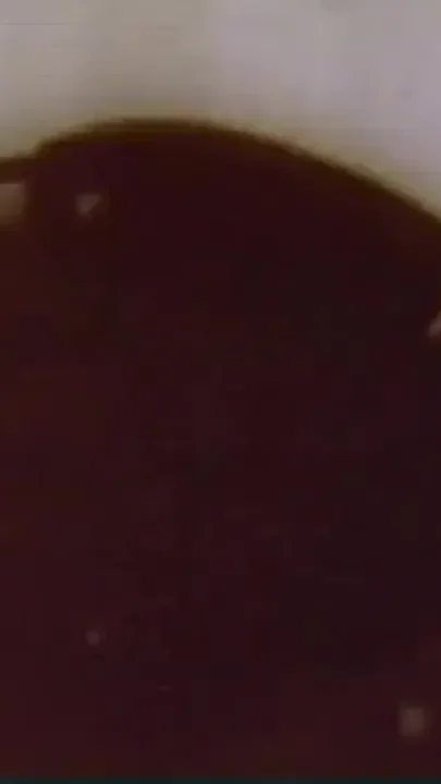 vintage sextapes