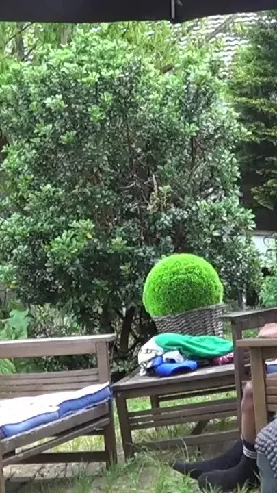 Slut fucked bareback in the garden
