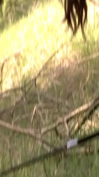 Herrin enslaves man and enjoys foot fetish outdoor