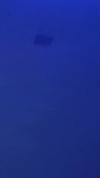 Nicolas fucked raw by Dylan Lopez in the sauna