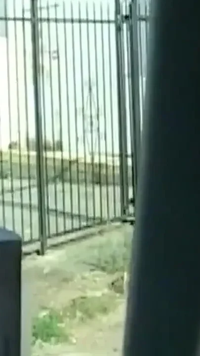 Sex with Black Slut