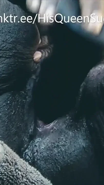 Powerful moment from 
