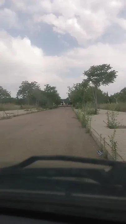 An ordinary day looking to eat a cock