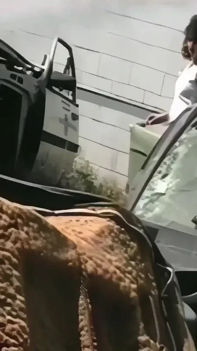 Filthy Bitch Takes It All in POV