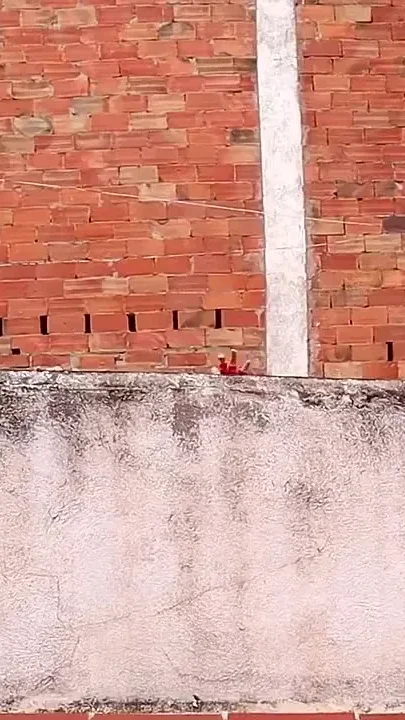 Do You Wanna Know the Amazing Spider-woman