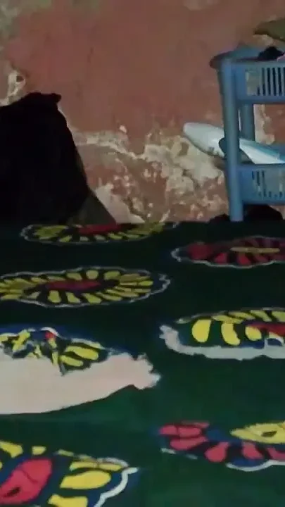 This Is How I Fuck My Girlfriend When Around