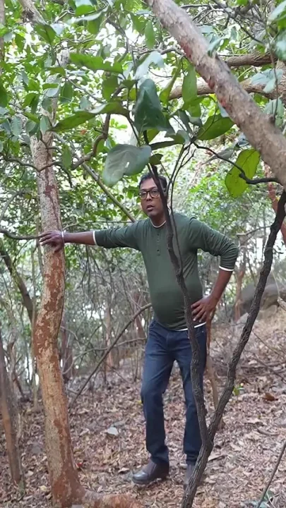A Lone Girl in the Jungle Has Sex