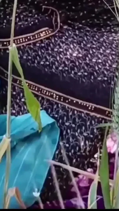 Outdoor fingerings young Hot bhabhi farm clothes open pusyy sex videos Clip 1