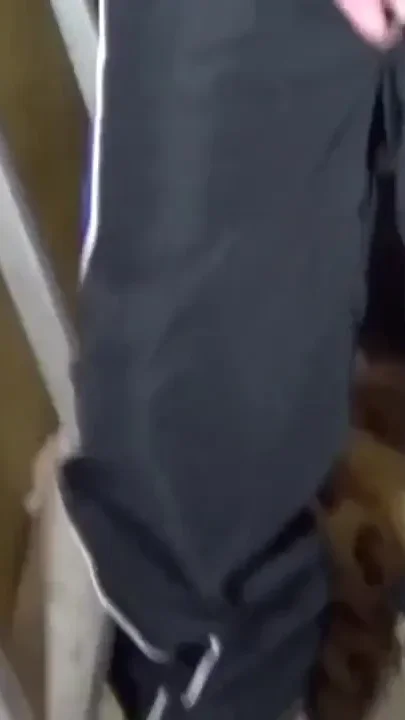 Jordan creampied by xxl cokc of Oscar Wood
