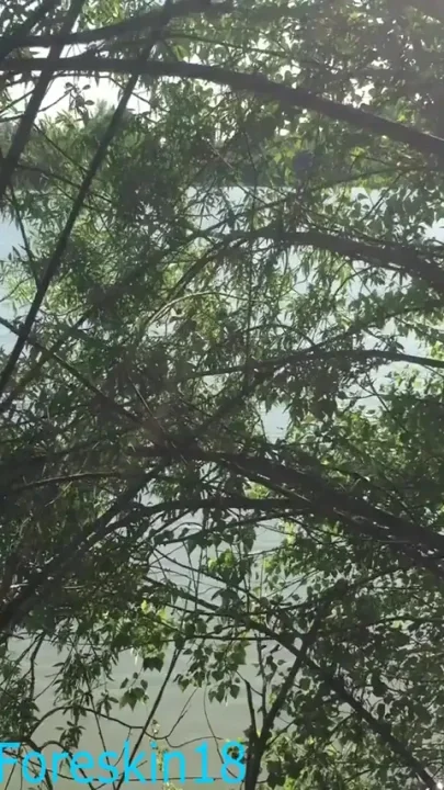 We are in danger outdoors with a huge dick and a beautiful sissy getting cum in our mouth
