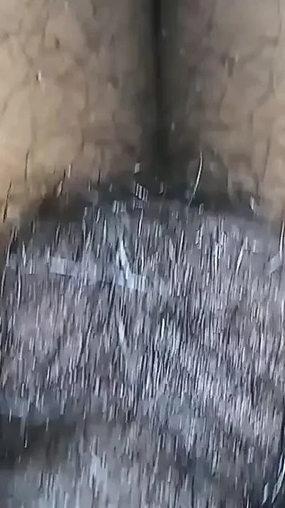 Sheela Bhabhi took out the water from my penis