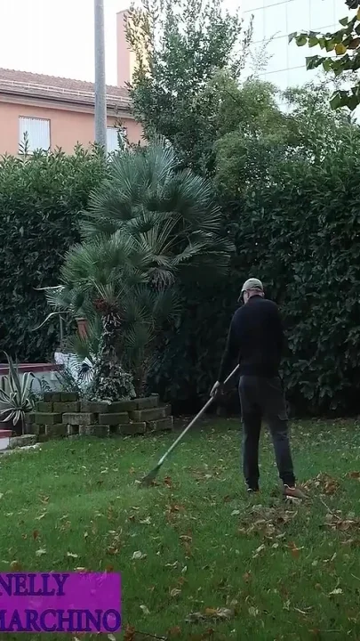 Shemales Shows off Huge Cock Getting Assfucked Deep and Hard Outdoor Compilation