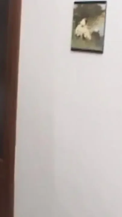 Three cocks for the nasty cougar