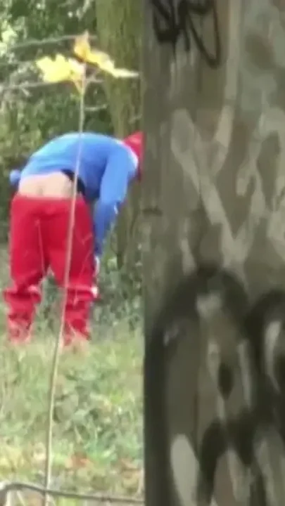 The Smurfs x version in exhib wood forest