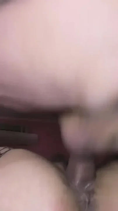 Wet bushes Clip 1