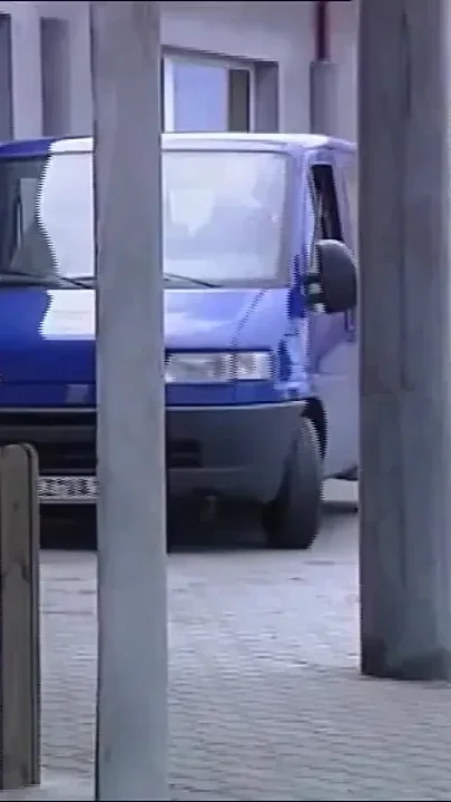 Pussy Everywhere