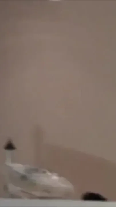 French slut Ryan fucked by top latino Billy Baval