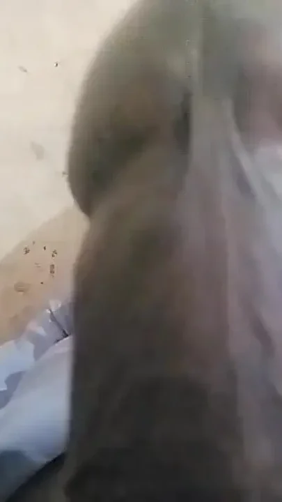 I Will Sex with You