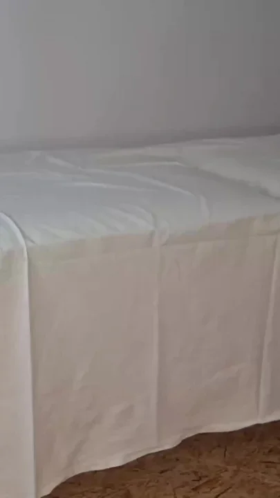 Casual Sex During Massage Session