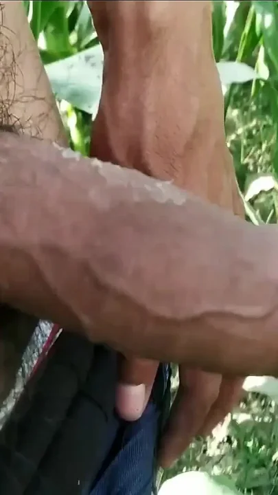 Hairy Big Cock Lund Porn Video HD