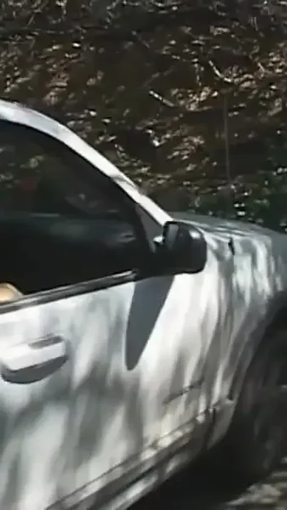Picked up and fucked young curly black slut
