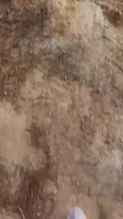 A Passerby Fucked Right by Sen Knee in Nature Public Fuck