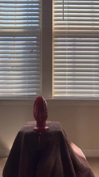 Hide the toy