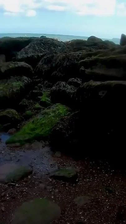Mermaid Spotted Wet Encounter in Lost Cove