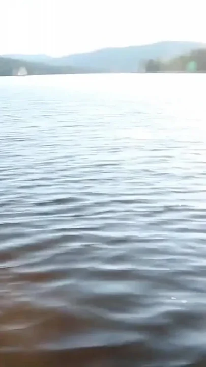 Summer on a boat