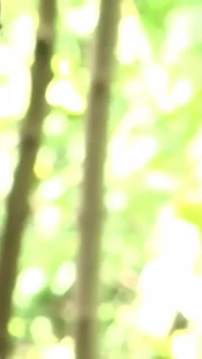 2 gays fucking in wood