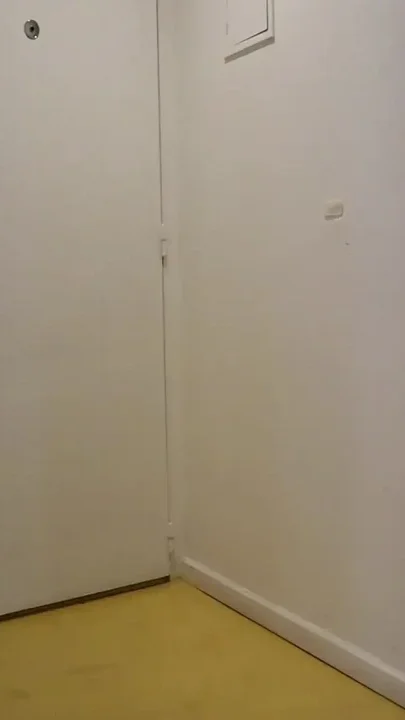 Sex at Home Hardcore Anal to Lynnscream