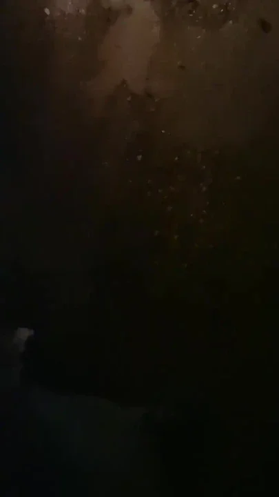 Italian pig pissing in truck parking