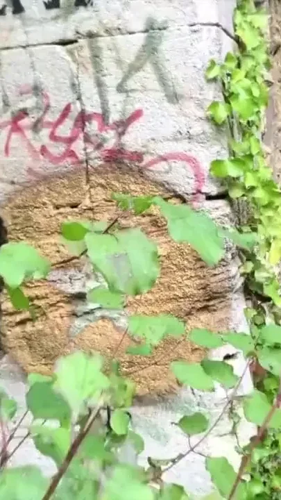 Creampied outdoor by sexy straight outdoor