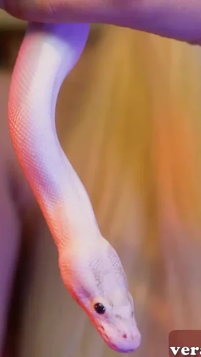 Must-see moment from 
