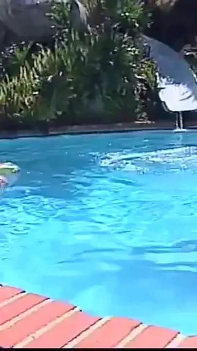 Swimming pool double penetrated anal party