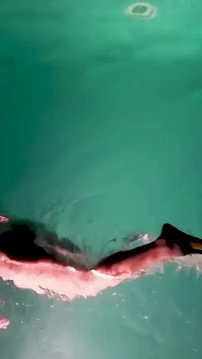 Naked Snorkel Night Slut Underwater Play