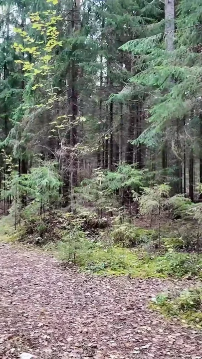 Big Natural Breast Teen Lost in the Forest