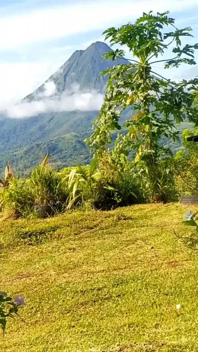 Arenal Volcano Vacation Creamy Pussys