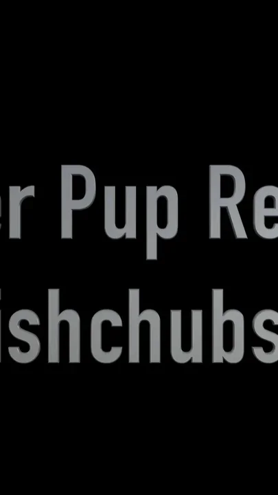 Ginger Pup Giggles & Wobbles