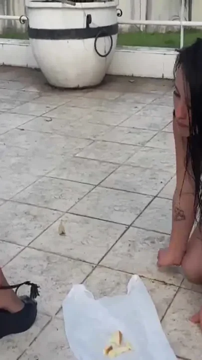 Outdoor feeding time