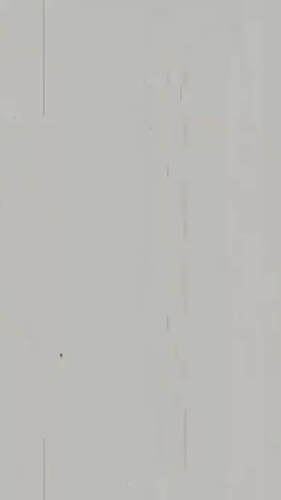 Lindsay Works a Dong