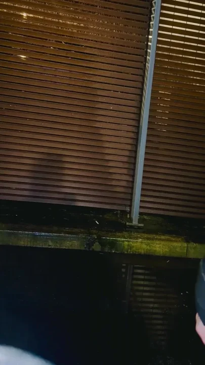 Watch leon free balling in public pulling out his monster cock wearing one fit