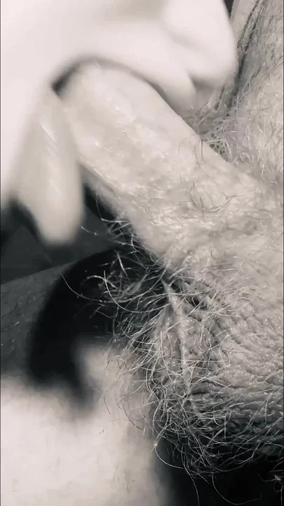 Barespanks' Wild Kingdom 3 Ejaculating Bull