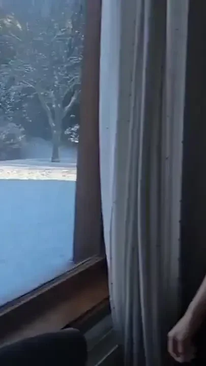 We Didn't Realize That the Neighbors Were Watching Us Through the Window