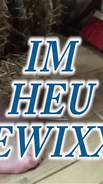 Rub Myself with Hay and Then Finger Myself Until I Cum