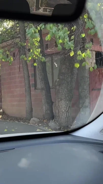Picked up a Student and Filled Her Pussy with Sperm