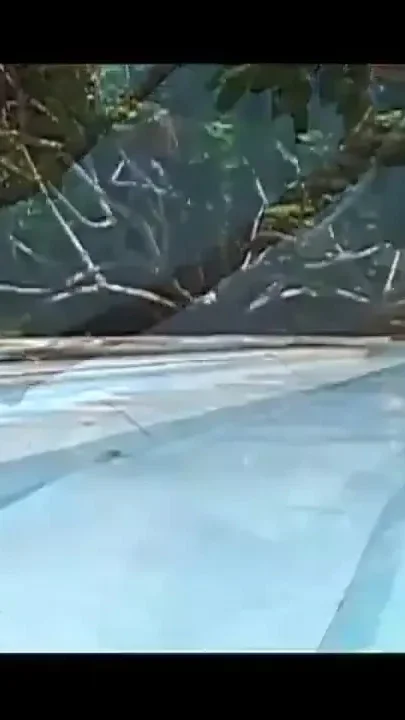 Ready to Do Anything to Enjoy