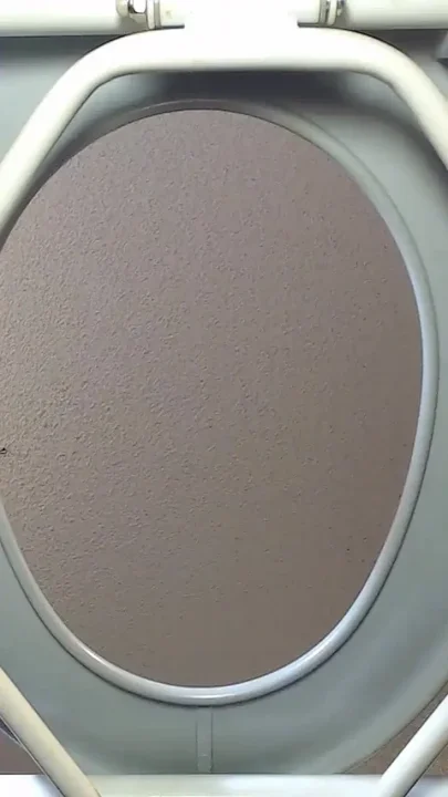 Nasty Loser Toilet Slave
