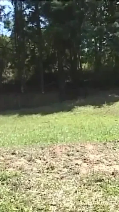 Gay Outdoor Horny Fucks - a Big Cock up to My Wet Asshole Nr 7